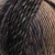 509009_0_c0cfcaa7-7d5d-4af7-8191-c025bb57a6b6.webp