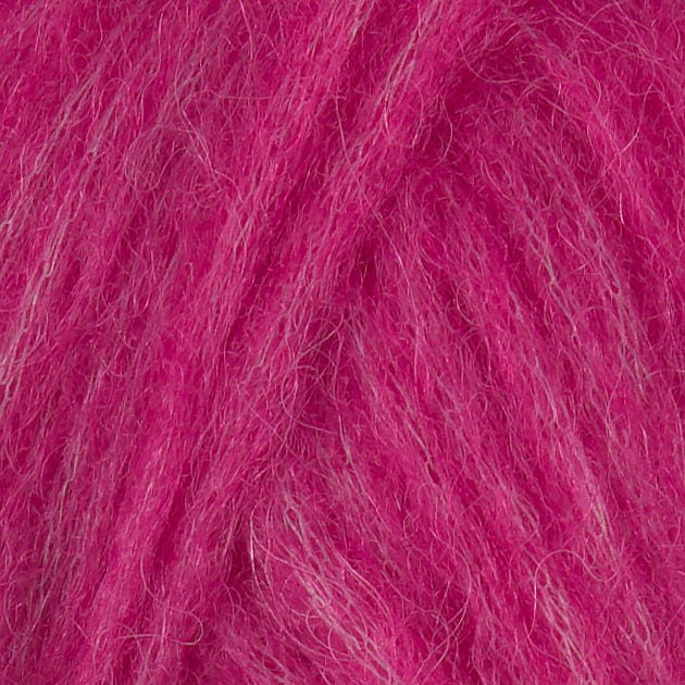 Alpaca_Bris_362 (2).jpg