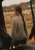 k-2509-06_1.webp