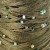 1347214-383455.008_1_WK_Q_1920x1920.jpg