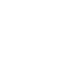 Producent: Basior (przejdź do produktów)